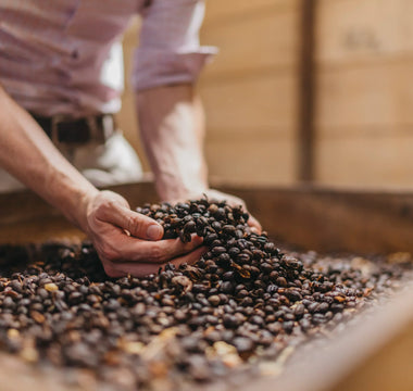 Historias de Sabor: Café, Chocolate y Legado en Hacienda Doka