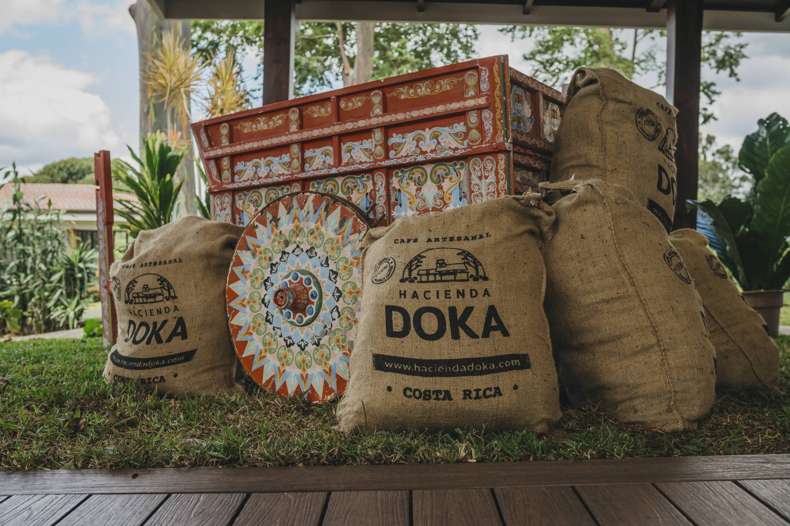 Doka Coffee Tour Una Experiencia Única de Café y Naturaleza: Sumérjase ...